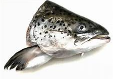 Salmon Head 1kg