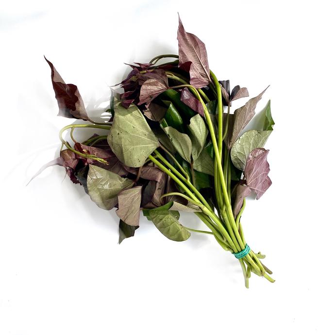 Kamote Talbos 1 tali