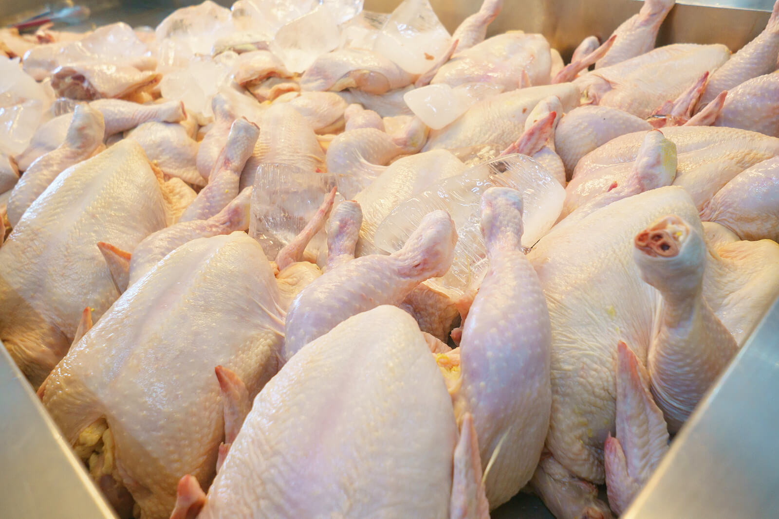 Storing Frozen Chicken And How To Freeze It Properly