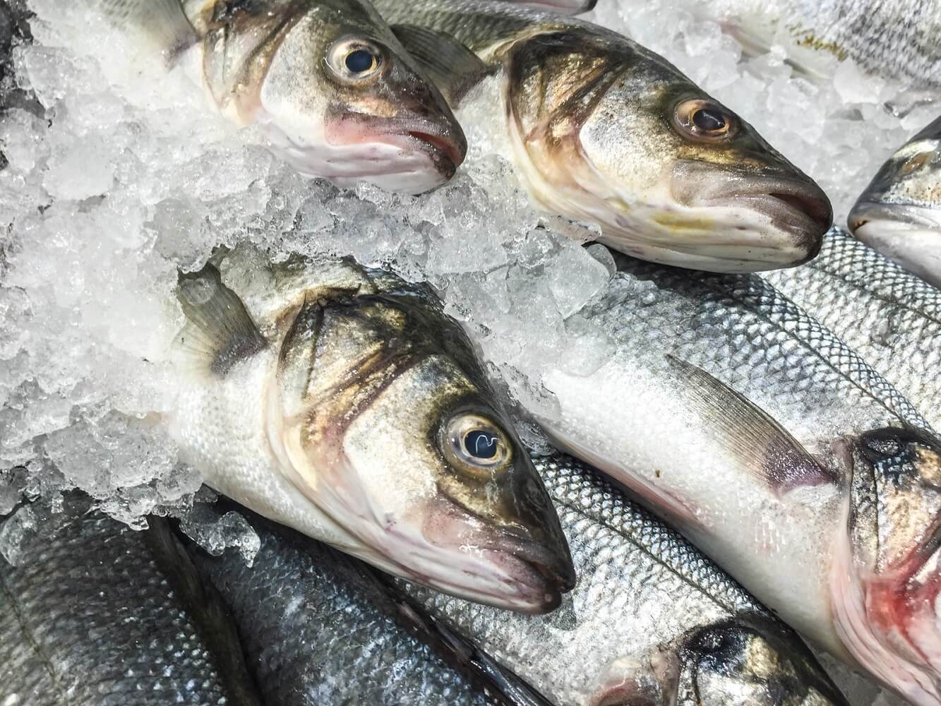 Why Consider Frozen Fish | Fish n Chix – Fish n' Chix