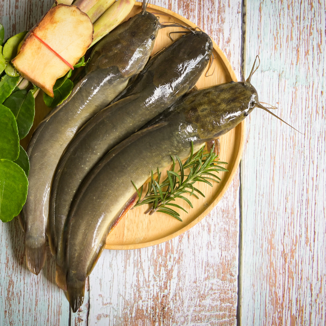 Hito png