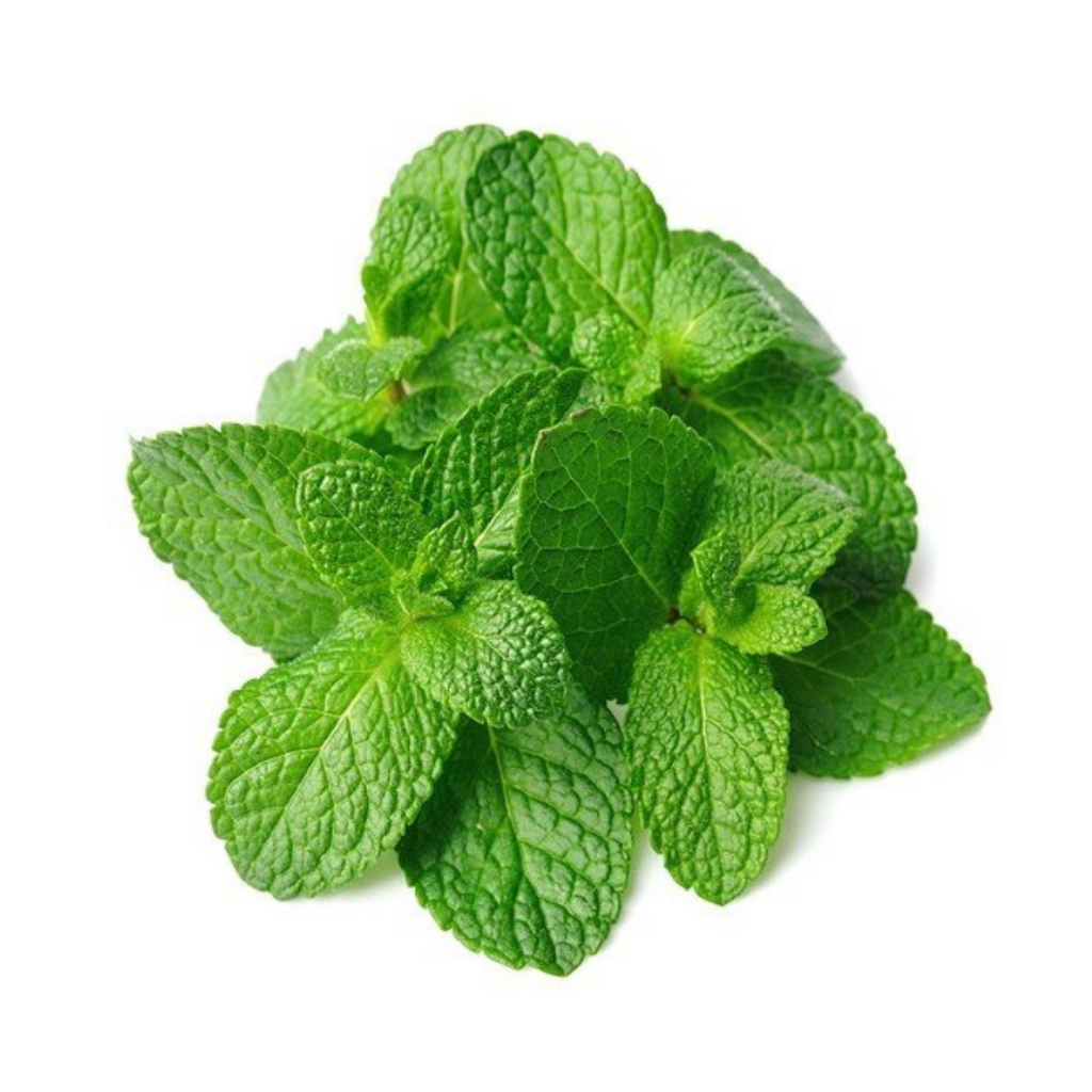 Mint Leaves 50 grams – Fish n' Chix