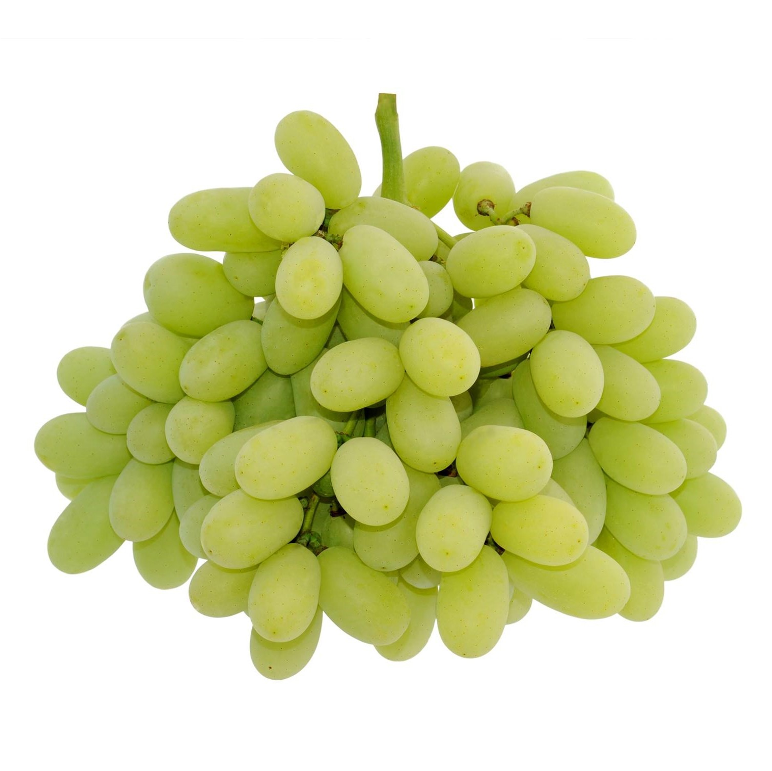 Are Seedless Grapes A Superfood For Chickens? Find Out Now! - ac4813y