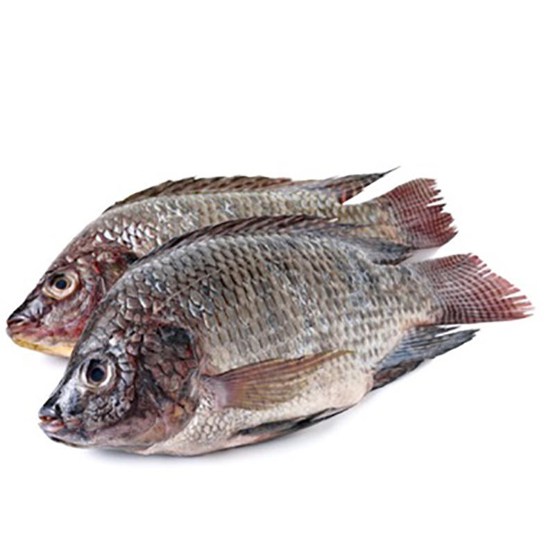 Indian Mango 1 kilo – Fish n' Chix
